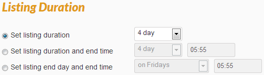 Screenshot Add Simple Product Listing Duration Section